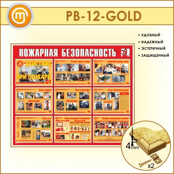 Стенд «Пожарная безопасность. Действия при пожаре» (PB-12-GOLD)