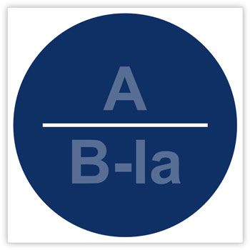 Знак «Категория помещения, класс зоны помещения», B05.6 (пластик, 200х200 мм)